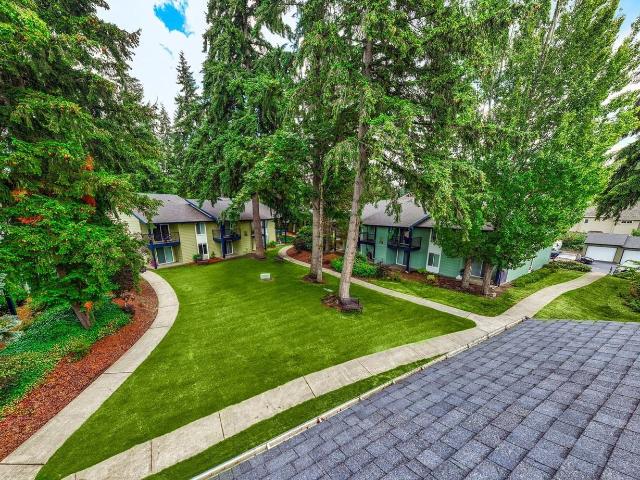 Apartment for rent in Bellevue, Washington