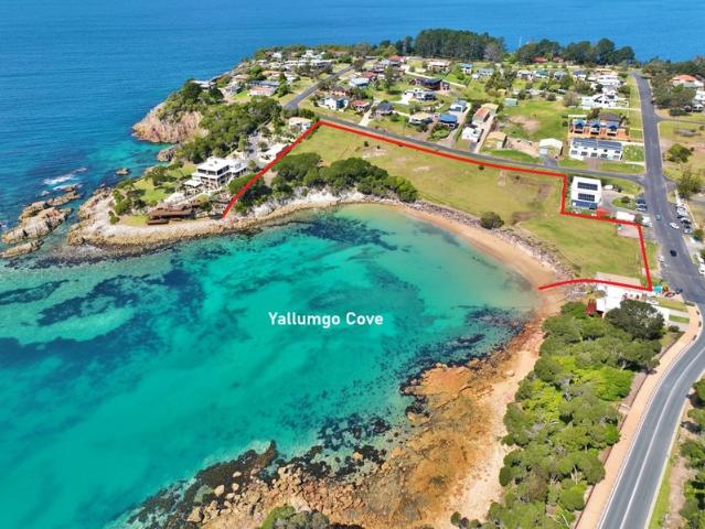 Property for sale in Nethercote, New South Wales
