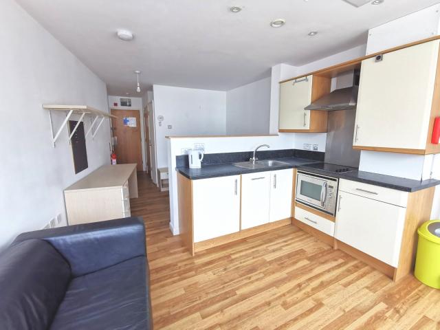 Studio for rent in Mount Pleasant, Nangreaves
