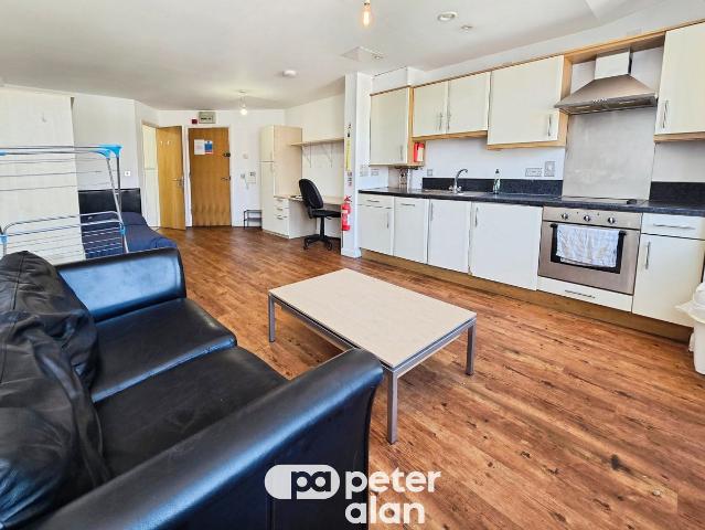 Studio for rent in Mount Pleasant, Swansea