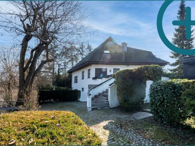 Haus kaufen in Bruck an der Leitha, Niederösterreich