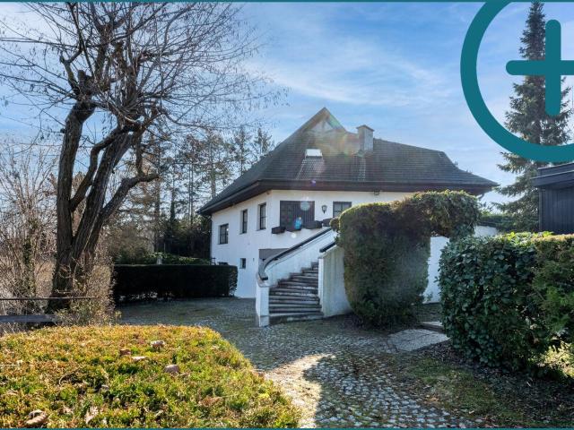 Haus kaufen in Leopoldsdorf im Marchfelde, Niederösterreich