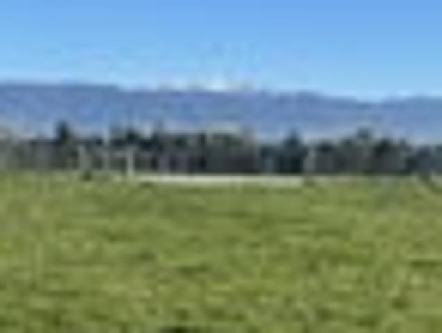 Land for sale in Greytown, Wellington