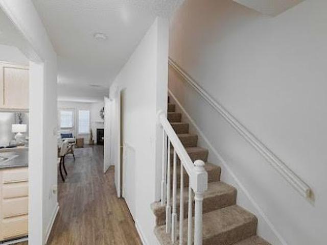 Apartment for rent in Mecklenburg, North Carolina