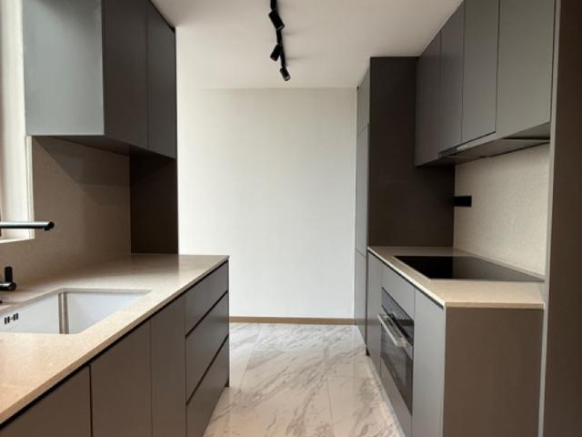 Apartment for rent in Tanjong Pagar