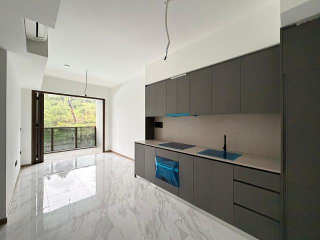 Apartment for rent in Tanjong Pagar