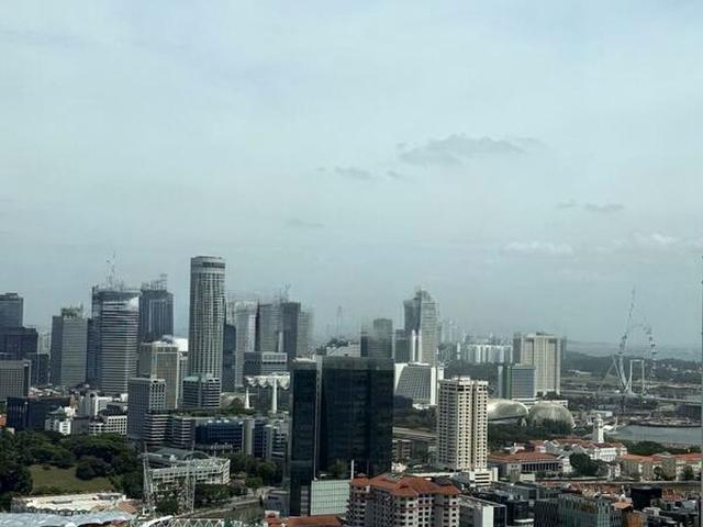 Condominium for rent in Tanjong Pagar
