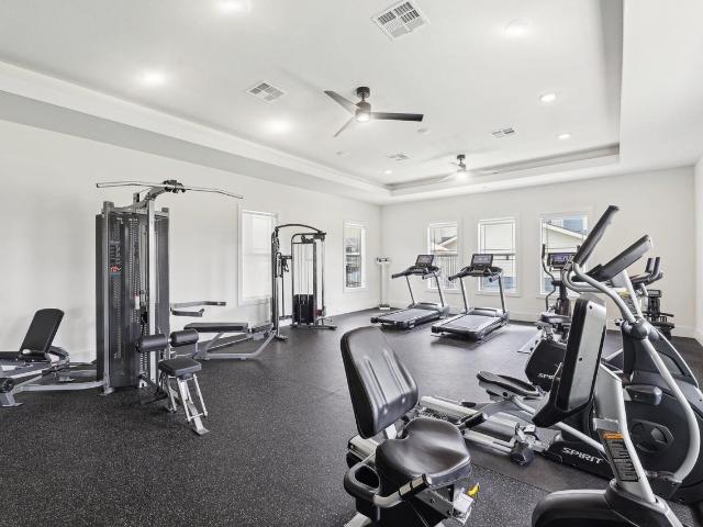 Apartment for rent in San Marcos