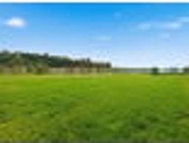 Land for sale in Bay Of Plenty