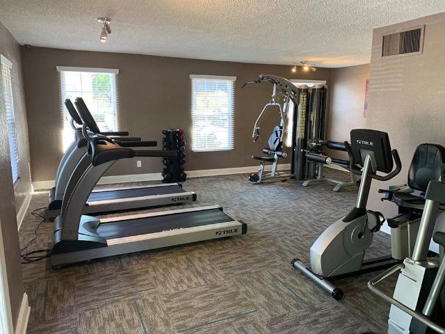 Apartment for rent in Tampa, Florida
