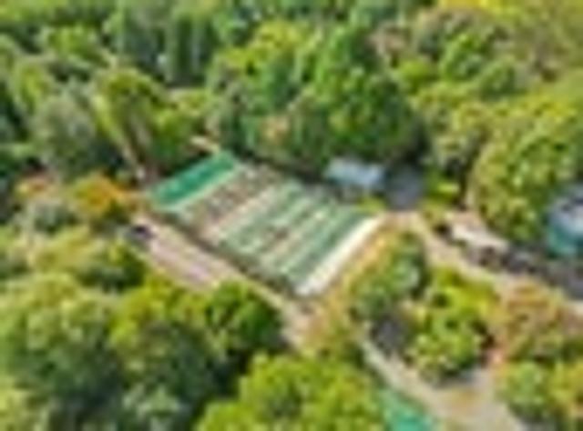 House for sale in Karetu, Northland