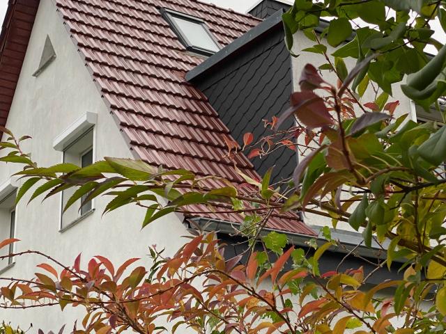 Haus mieten in Eutritzsch, Leipzig