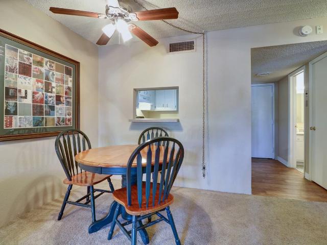 Apartment for rent in Tampa, Florida