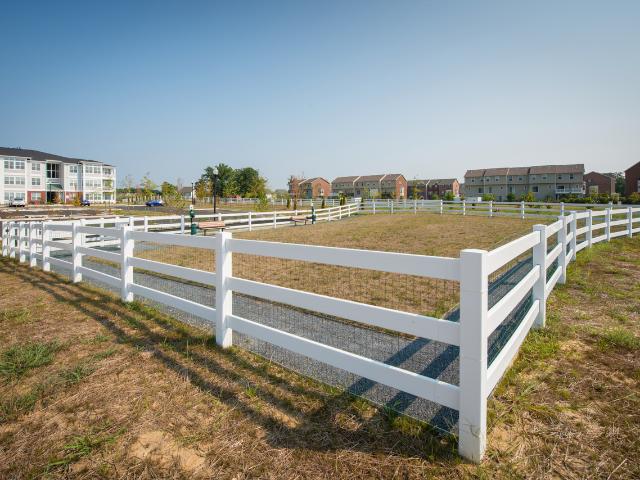Apartment for rent in Waldorf