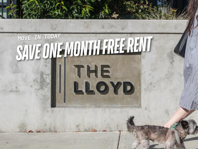 Apartment for rent in North Vancouver, British Columbia