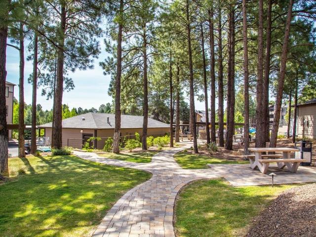 Apartment for rent in Flagstaff, Arizona