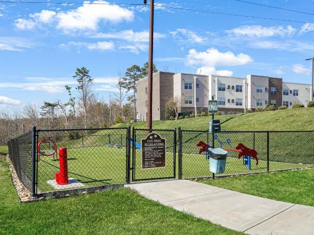 Apartment for rent in Tennessee