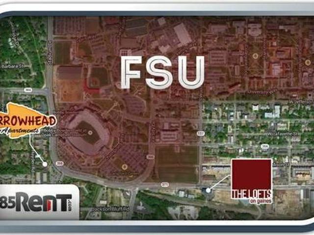 Apartment for rent in College Town, Tallahassee
