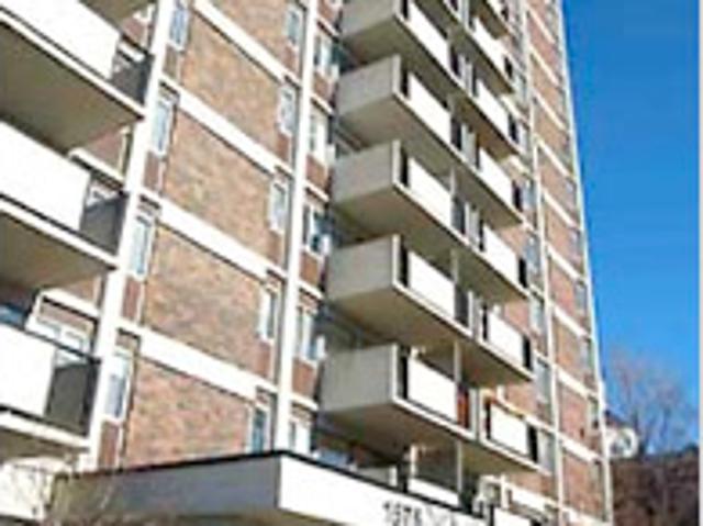 Apartment for rent in Mission Hill, Boston