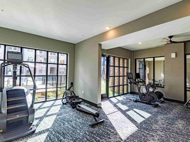 Apartment for rent in Louisville