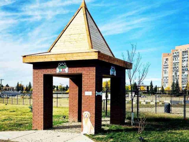 Apartment for rent in Wedgewood, Alberta