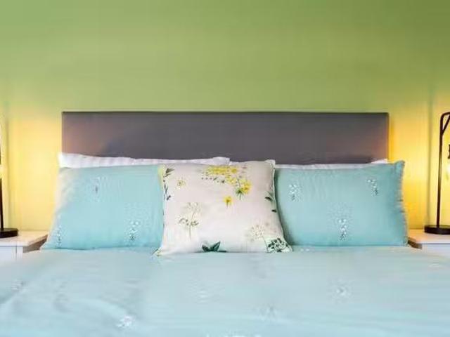 Apartment for rent in The Meadows, Haddon