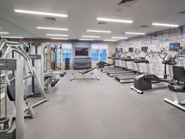 Apartment for rent in Arlington, Virginia