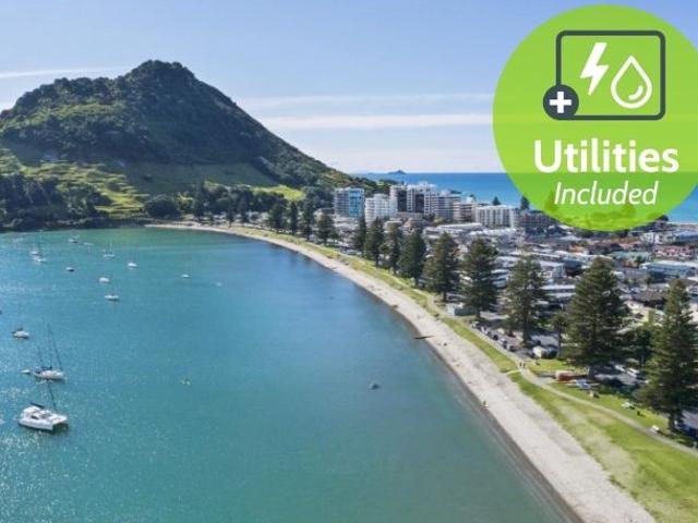 Apartment for rent in Bay Of Plenty