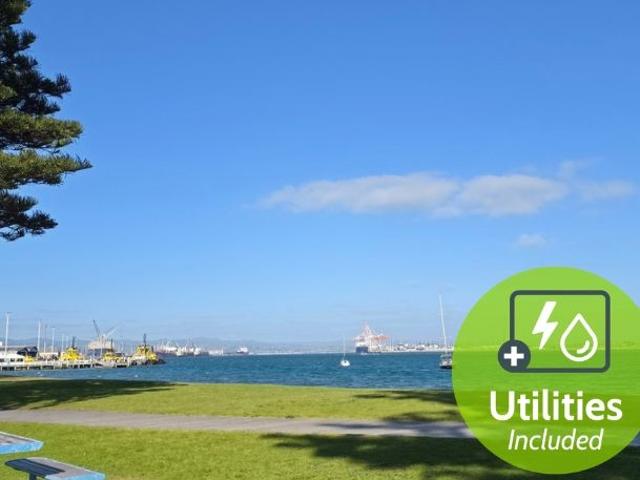 Apartment for rent in Bay Of Plenty