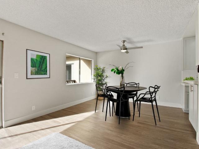 Apartment for rent in Culver City, California