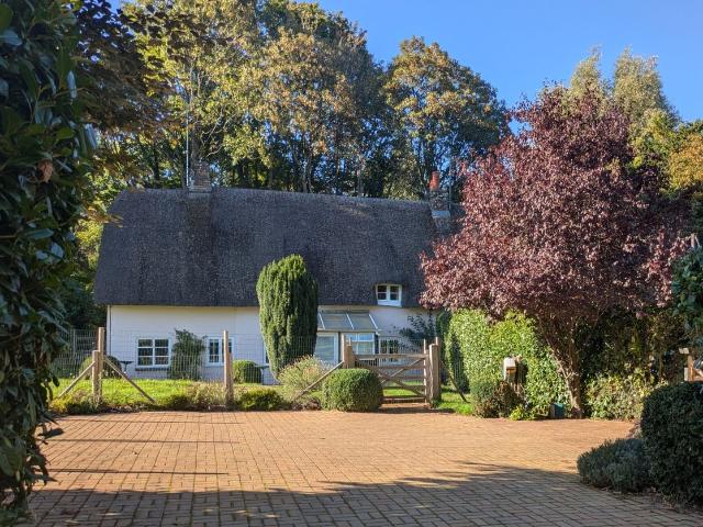 House for rent in Upper Street, New Forest