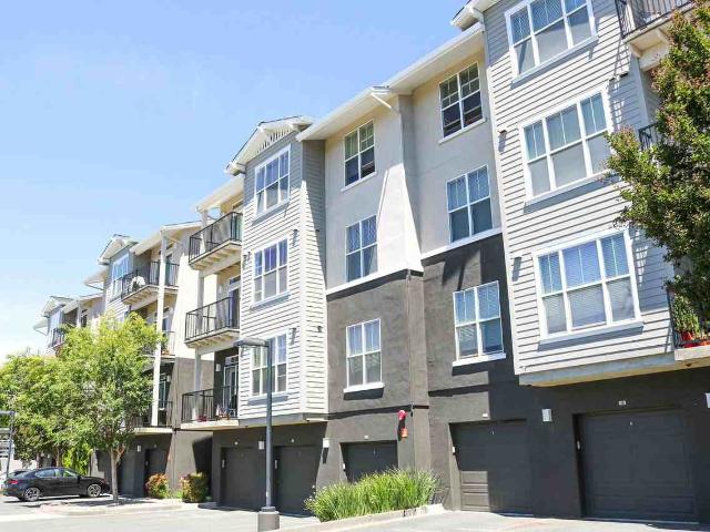 Apartment for rent in Santa Rosa, California