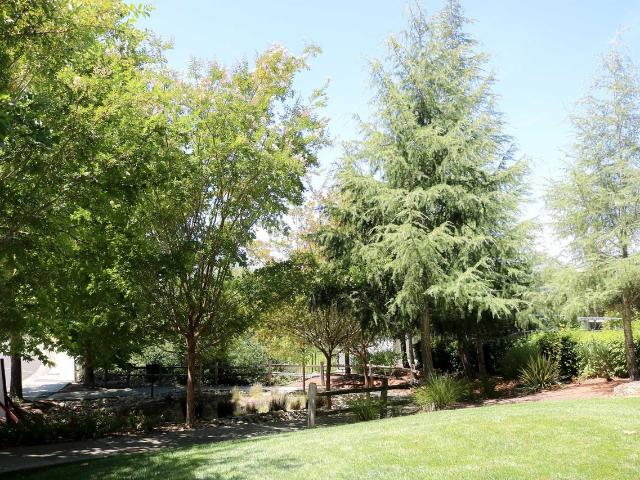 Apartment for rent in Santa Rosa, California