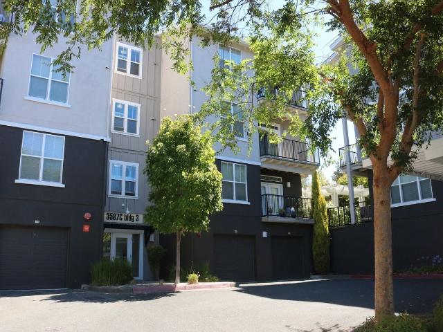 Apartment for rent in Santa Rosa, California