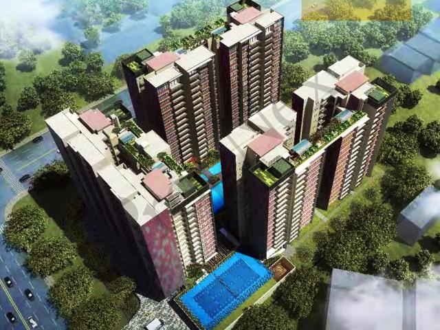 Apartment for rent in Bukit Timah