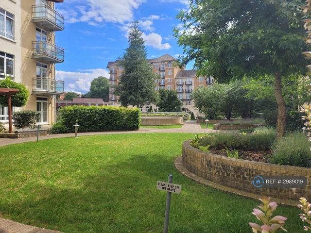 Apartment for rent in Newtown, Reading