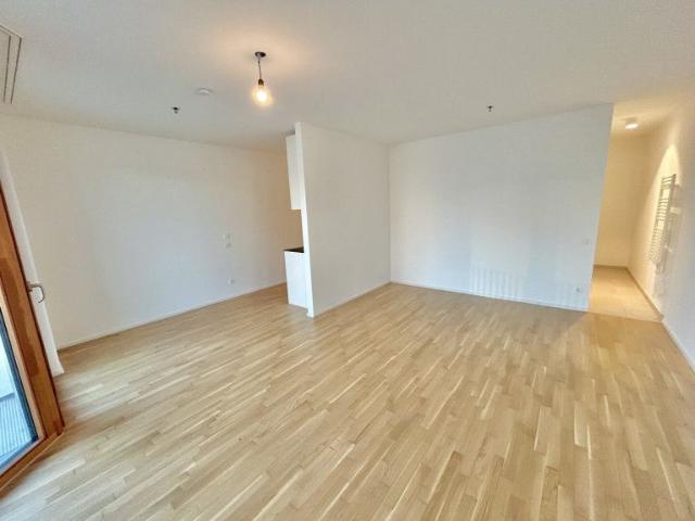 Apartment mieten in KG Oberlaa Stadt, Wien