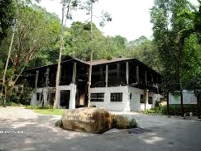 Apartment for rent in Upper Bukit Timah