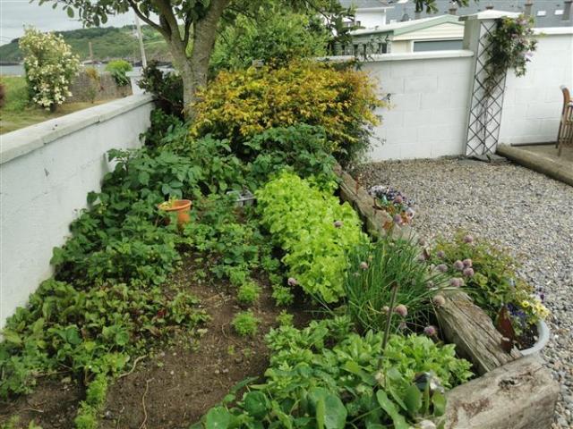House for sale in Duncannon