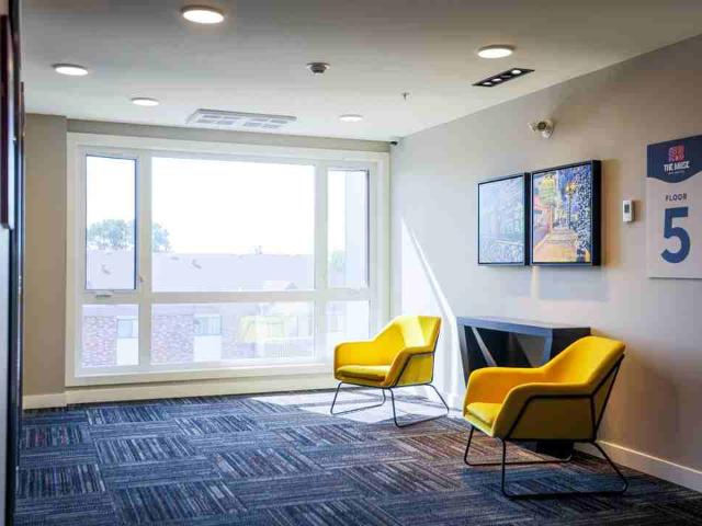 Apartment for rent in Strathcona, Edmonton