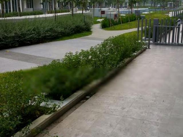 Condominium for rent