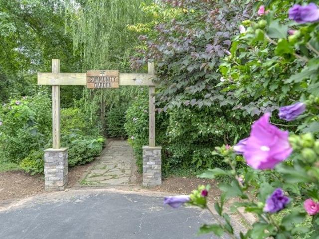 Apartment for rent in Asheville, North Carolina