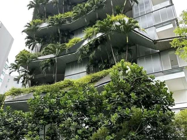 Apartment for rent