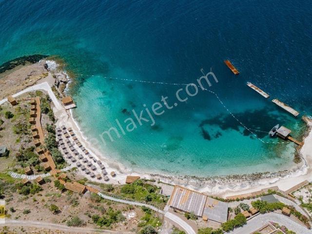Bodrum, Muğla içerisinde kiralık Villa