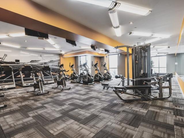 Apartment for rent in Waterloo, Southwestern Ontario