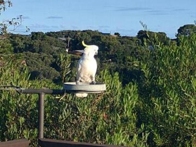 House for sale in Loch Sport, Victoria