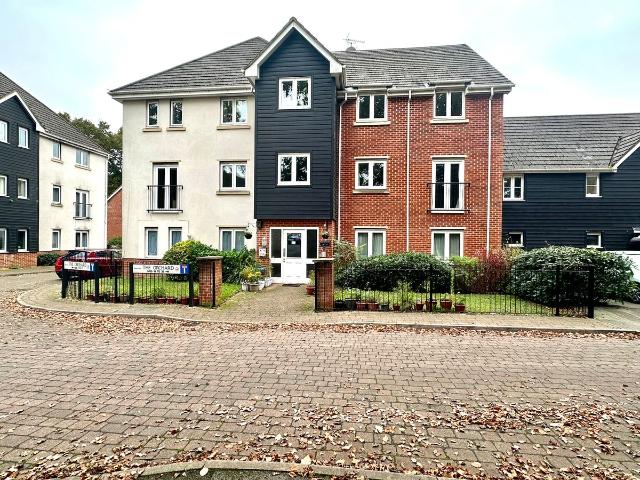 Apartment for rent in Hollybank, New Forest