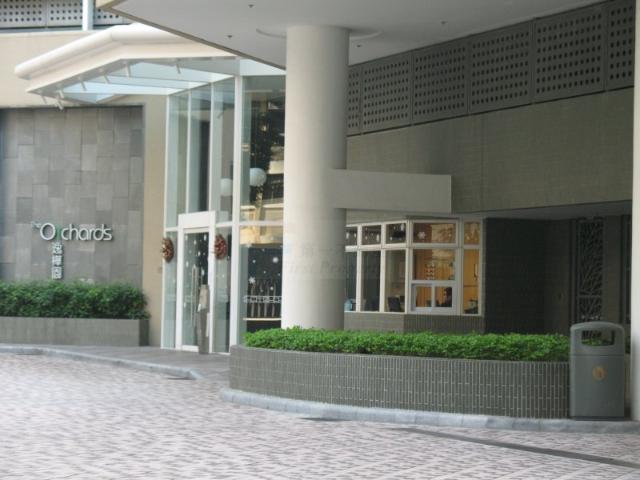 提供 出租 的 公寓