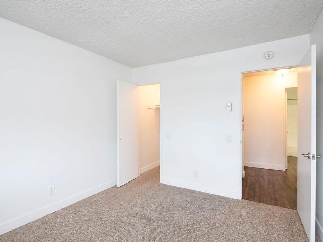 Apartment for rent in Jacumba, California