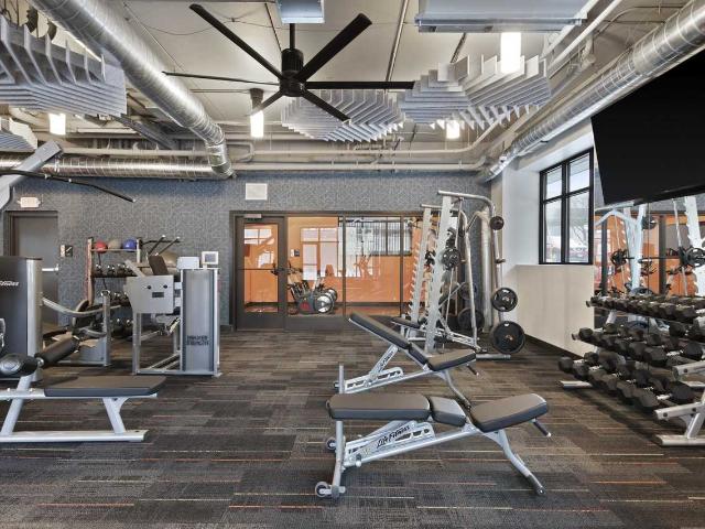 Apartment for rent in Near North, Minneapolis